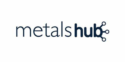 MetalsHub Logo Image