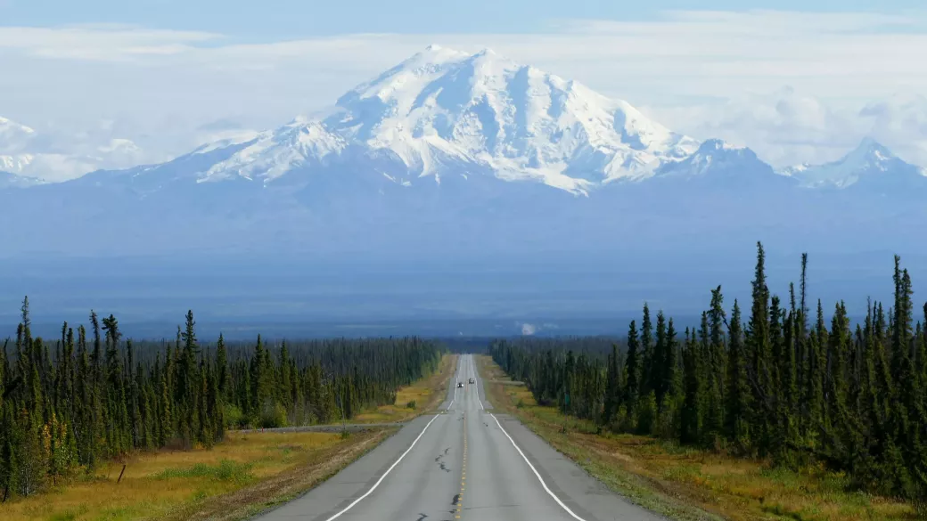 A long, straight road stretches into the distance, lined with tall green trees on either side. Majestic, snow-covered mountains dominate the background under a clear, blue sky, creating a breathtaking scenic view.
