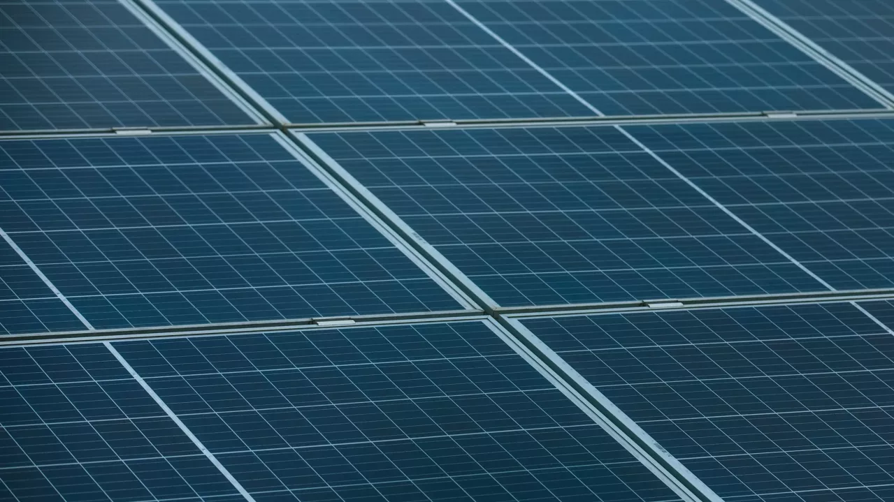 Close-up view of blue solar panels arranged neatly, capturing sunlight for renewable energy.