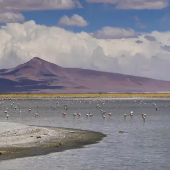 Lagoon with mountains and flamingos.