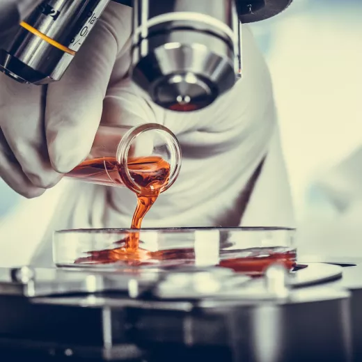 A scientist in a lab coat pours a brown liquid from a beaker into a petri dish under a microscope, highlighting a precise laboratory experiment.